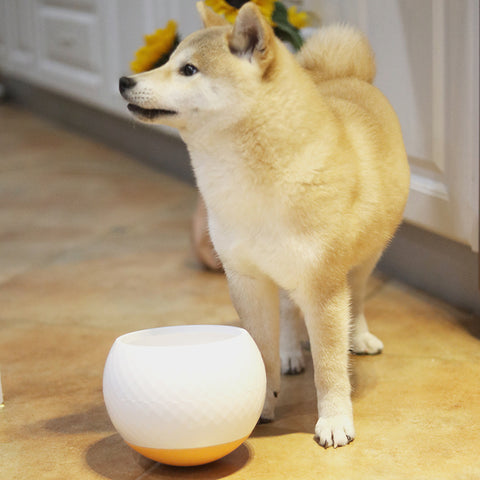 Anti-overturning dog bowl