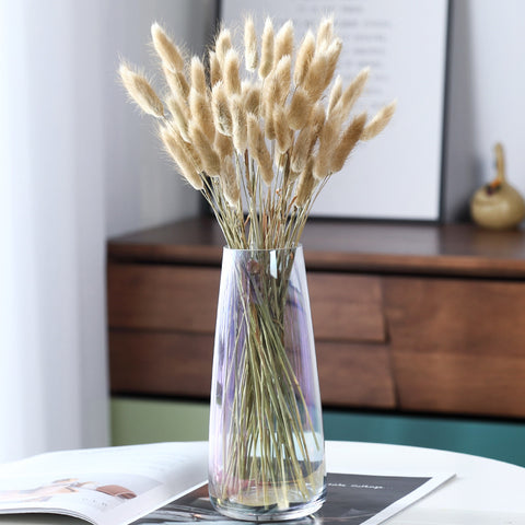 Home Decoration Ornaments - Rabbit Tail Grass Dried Flower Bouquet